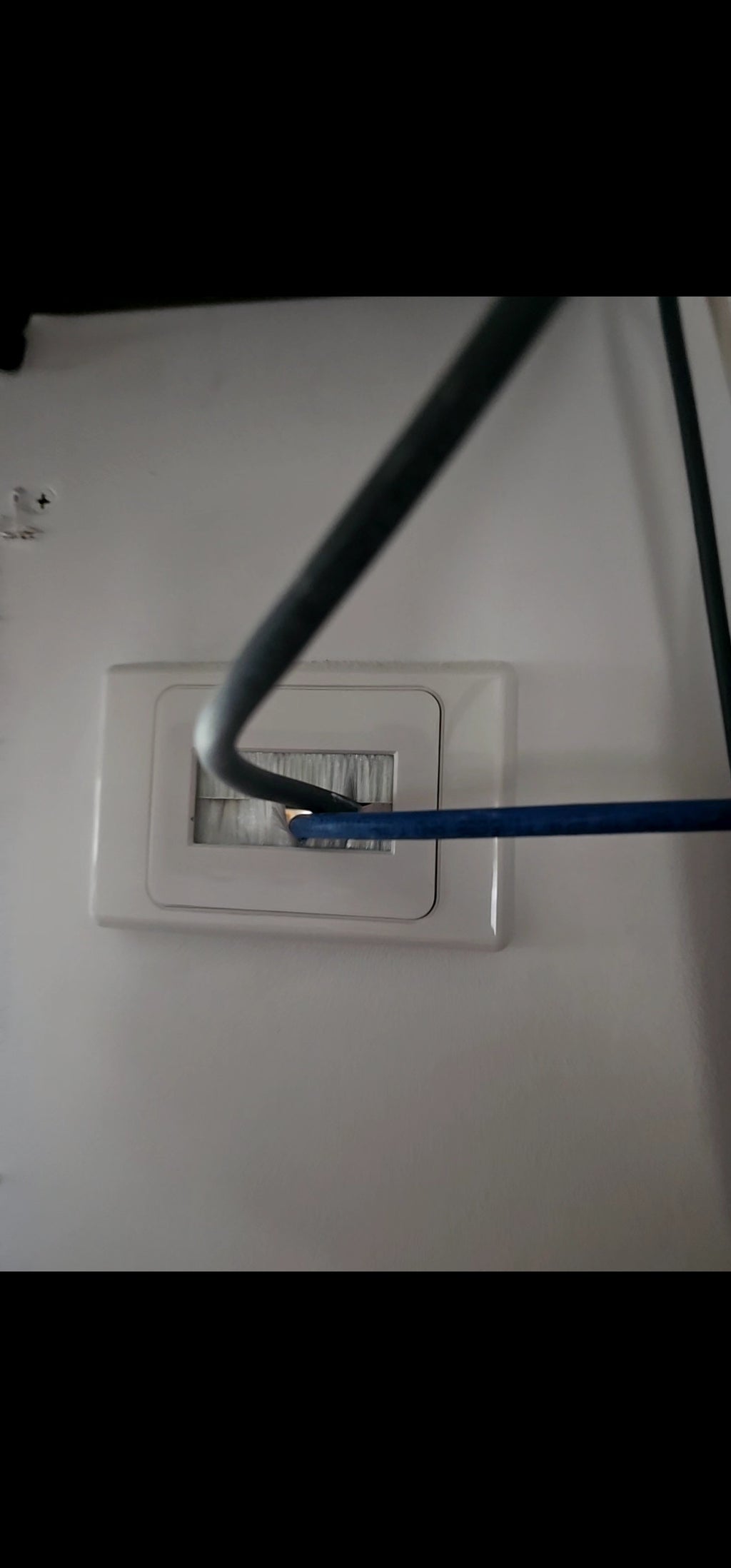 White Brush Wall Cover Plate for Starlink cable